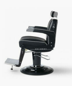 Takara Belmont Apollo Elite Beauty Chair