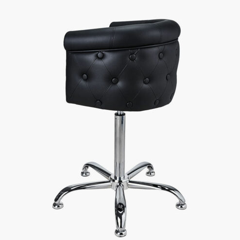 Alternative view of Ayala Kid Lux Styling Chair