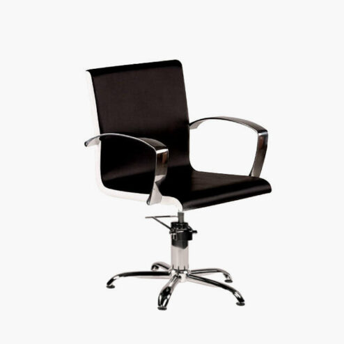 Ayala Partner Hydraulic Styling Chair Special