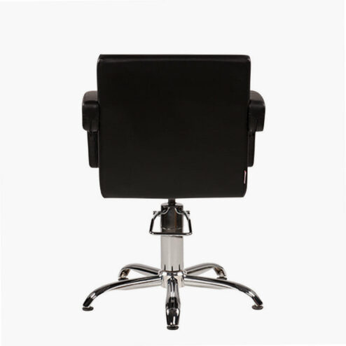 Ayala Tina Hydraulic Styling Chair