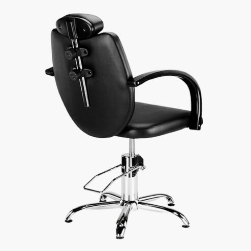 Ayala Toledo Lux Hydraulic Styling Chair