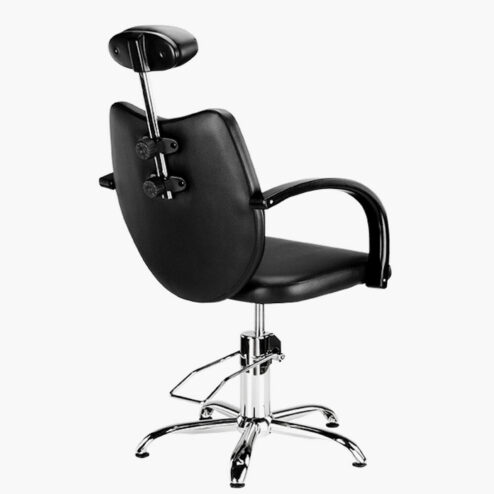 Ayala Toledo Lux Hydraulic Styling Chair