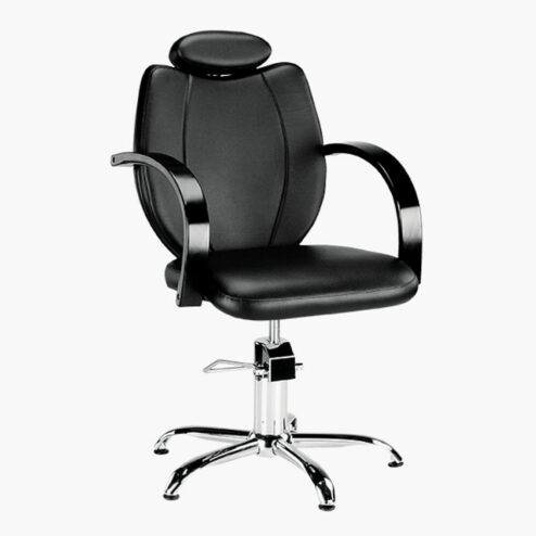 Ayala Toledo Lux Hydraulic Styling Chair