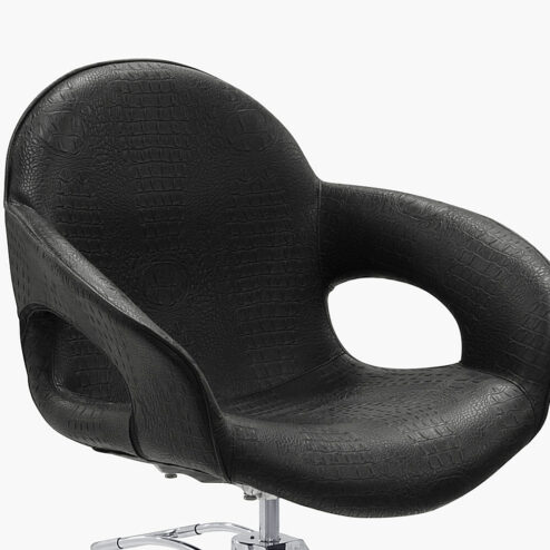 Capricious Hydraulic Styling Chair
