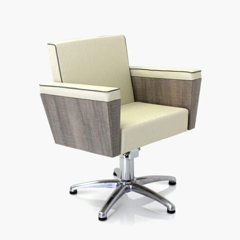 Salon Chairs