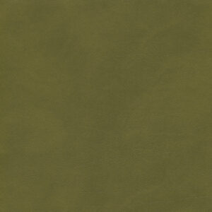Mountain Moss