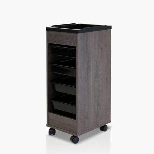 REM Stadium Trolley in Michigan Elm