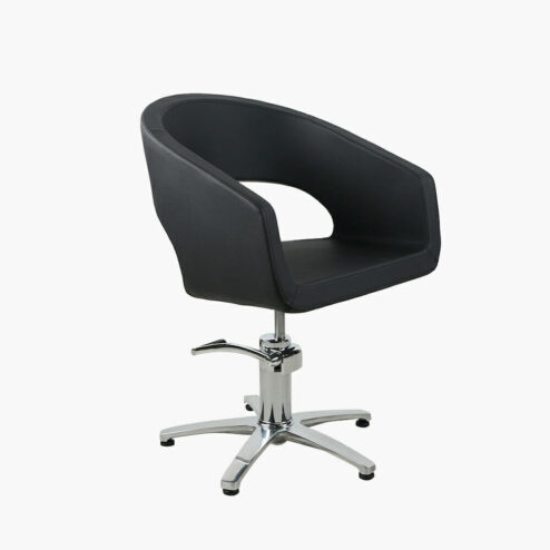 Salon Fit Plaza Hydraulic Styling Chair