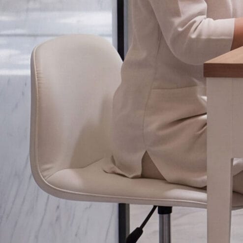Takara Belmont Duo Stool