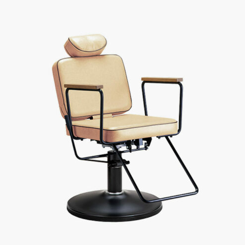 Takara Belmont Vintage Alt Series A 1601M Backwash Chair