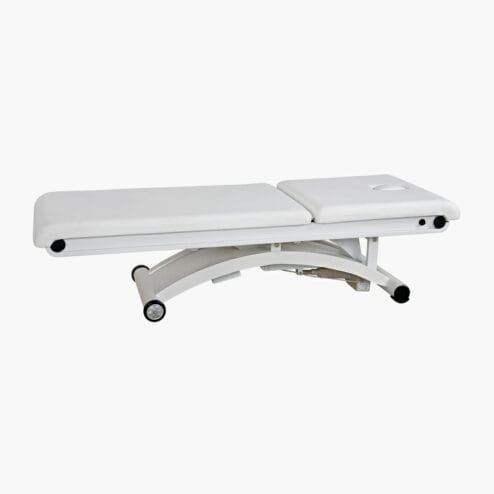 Luxury Electric Beauty Couch