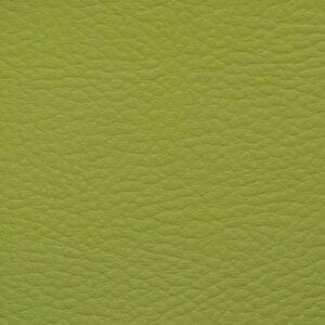 Vert Light Green 119