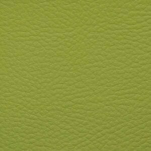 Vert Light Green 119