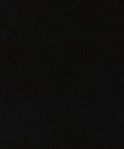 Panther Black