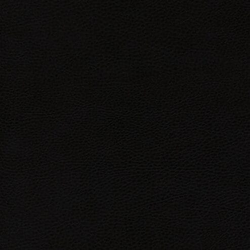Panther Black