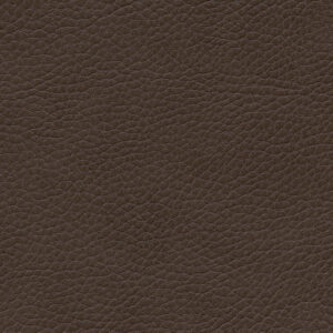 REM Fabric - 10 Coffee