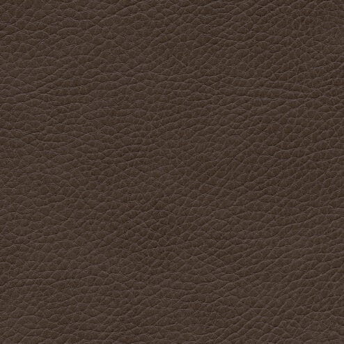 REM Fabric - 10 Coffee