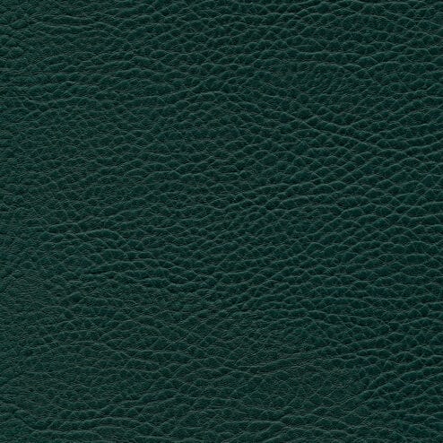 REM Fabric - 12 Fern