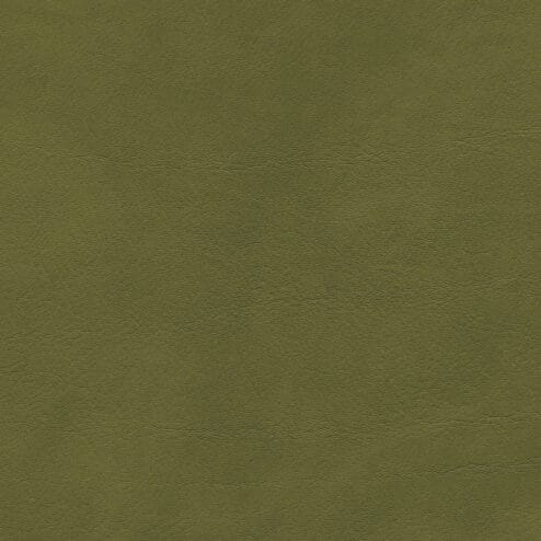 REM Fabric - 16 Mountain Moss