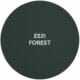 ES31 FOREST